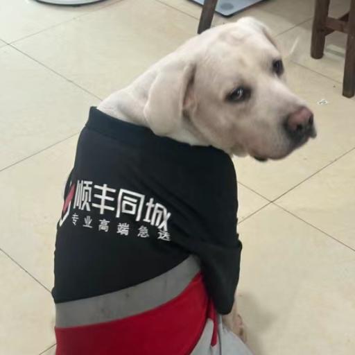 你又流眼泪了