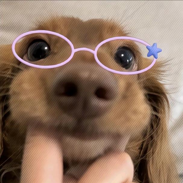 ✌︎' ֊' 🐙🦁🌧