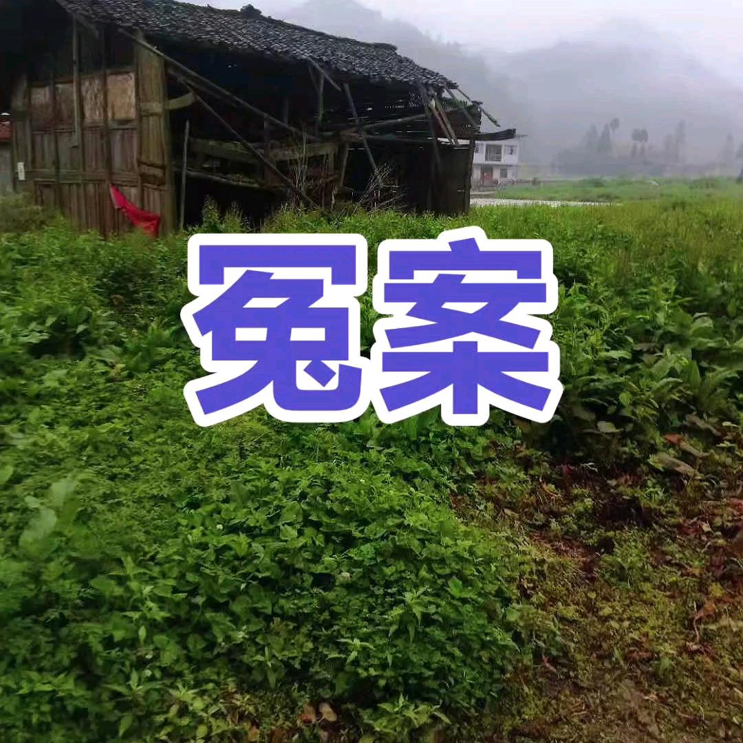 权力大于法