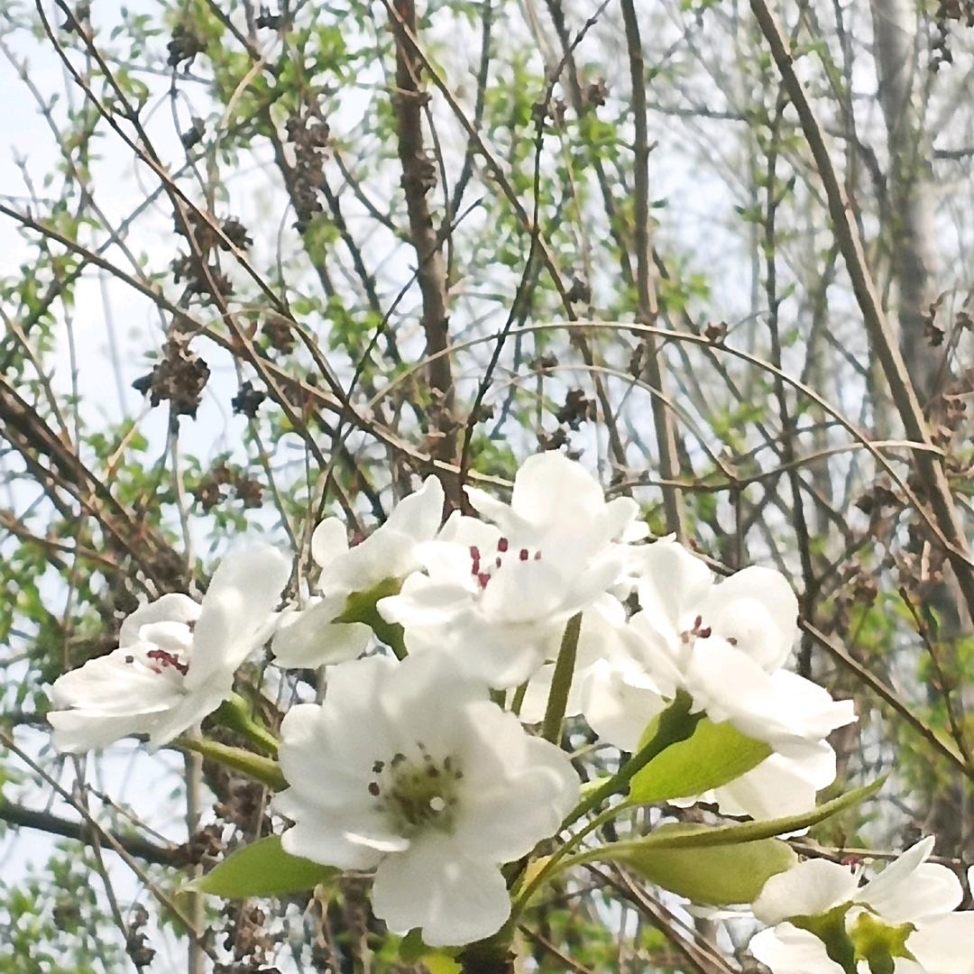 赵姐的日常生活（小号）