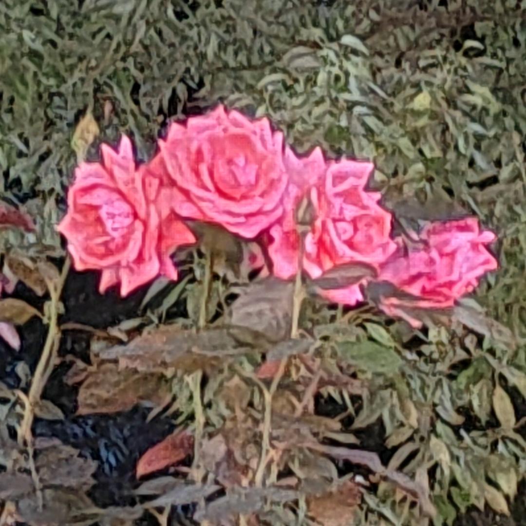 梦醒十分，何必伪装，