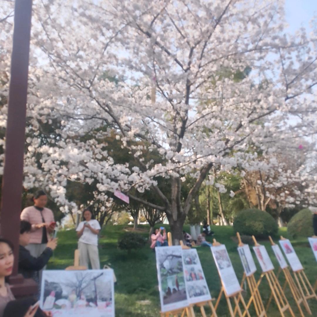 鲜鲜