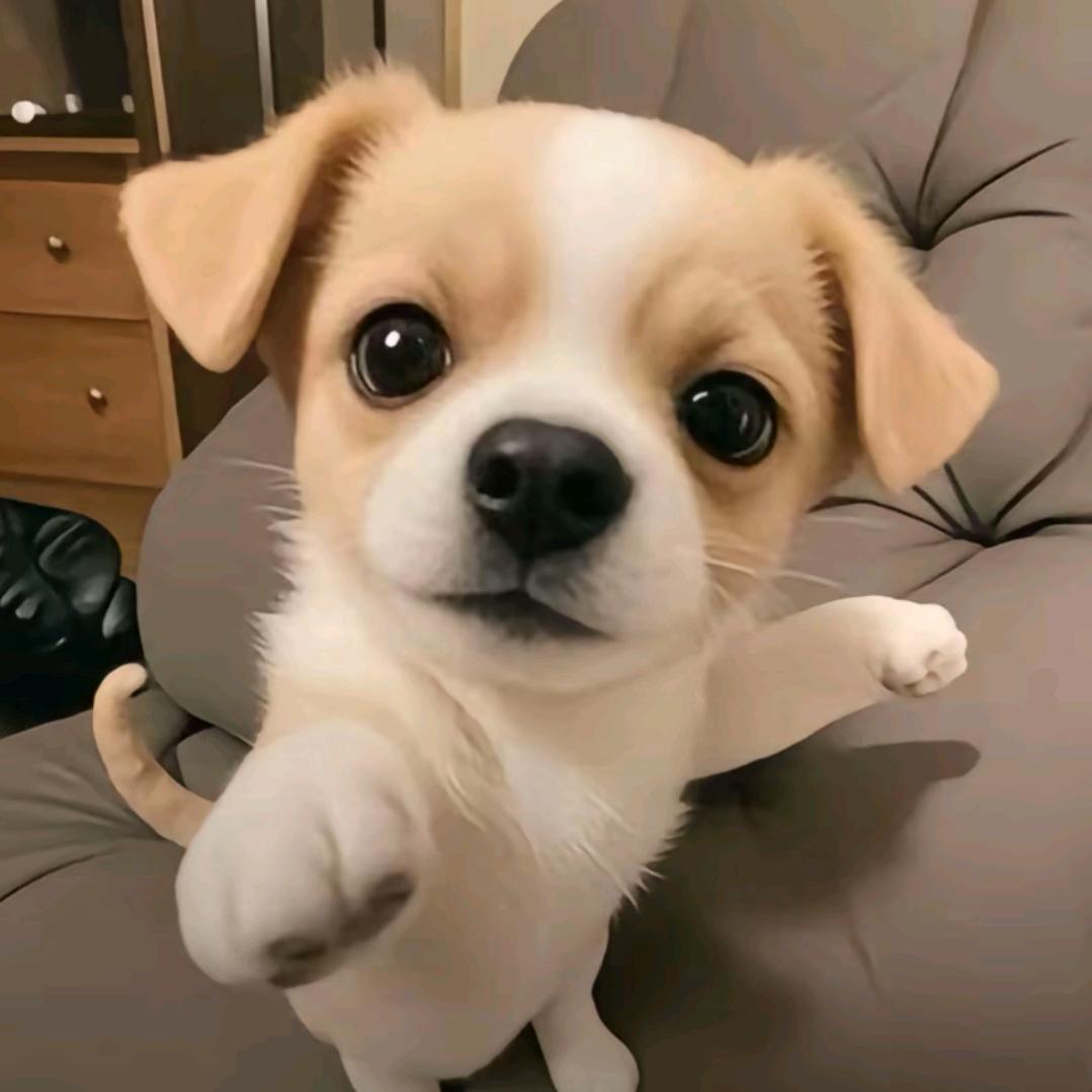 与你！