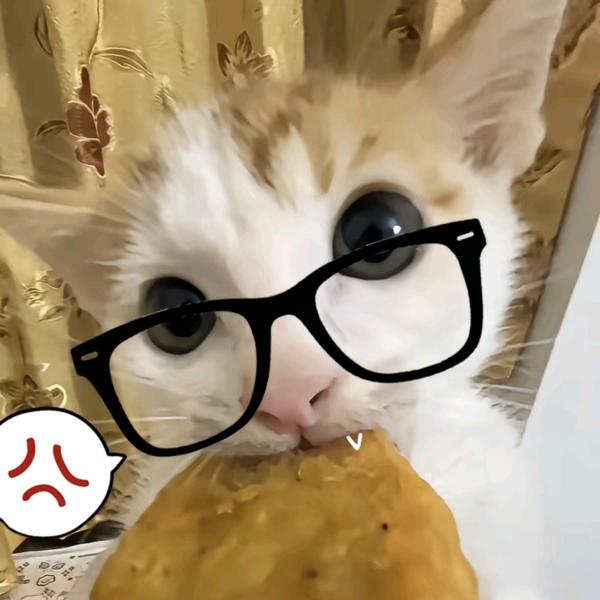 小雅爹