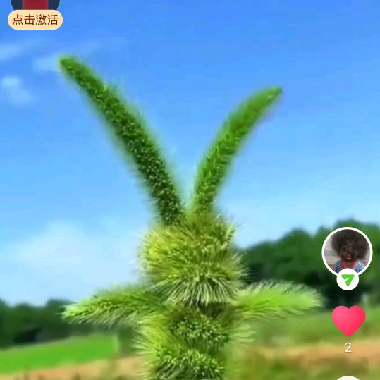 大麦屿的小麦屿
