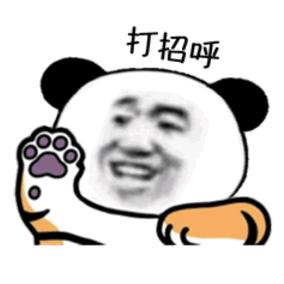 磅虎不胖🐯