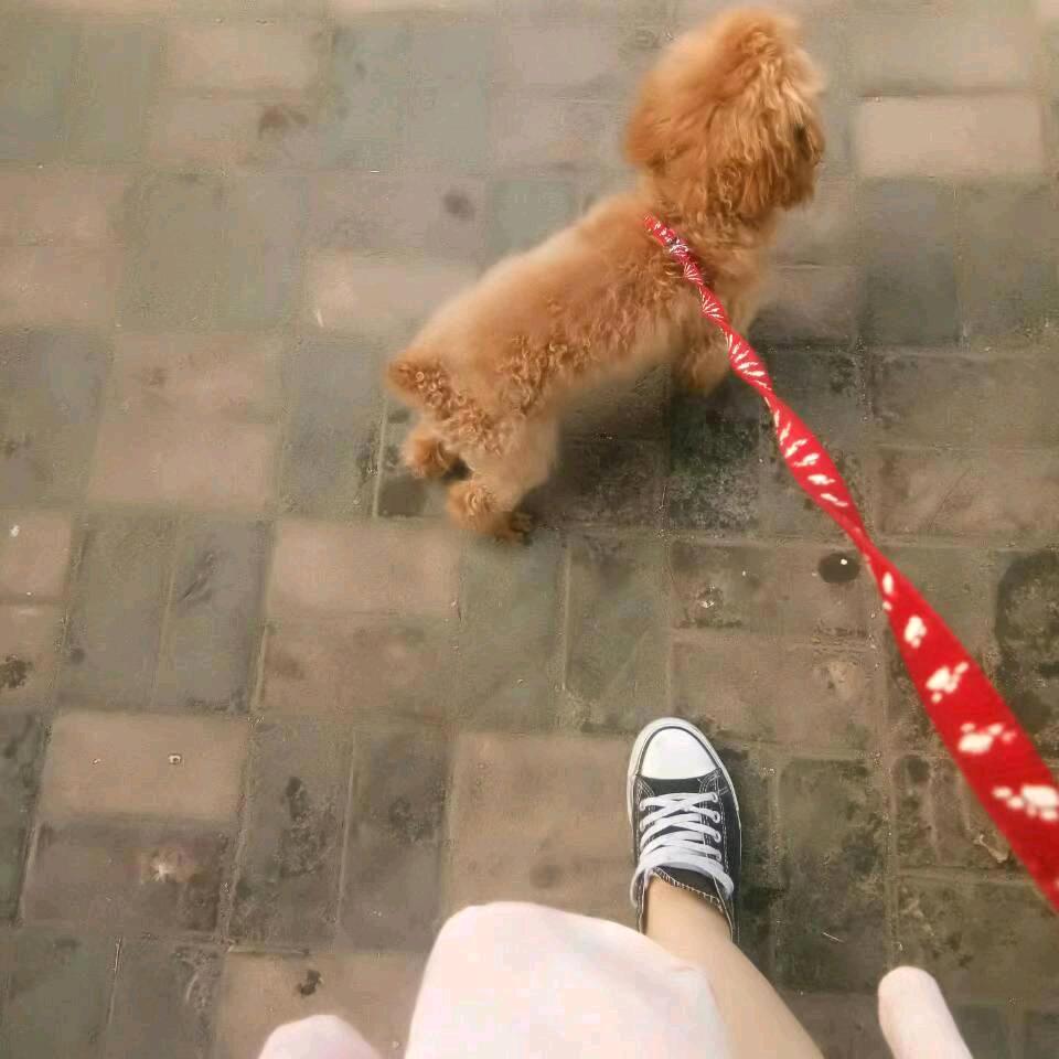 ℳঞ🍀繁星点点ℳঞ🍀