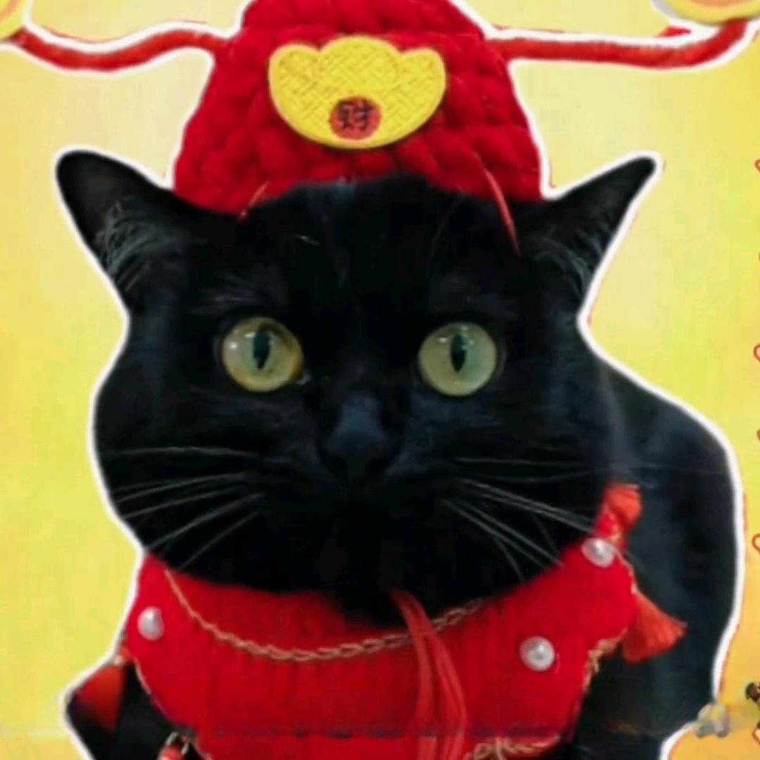 鑫鑫森森