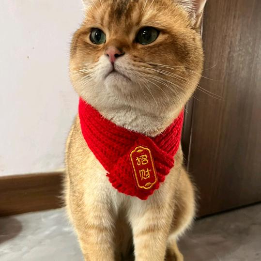 hhjkk头像