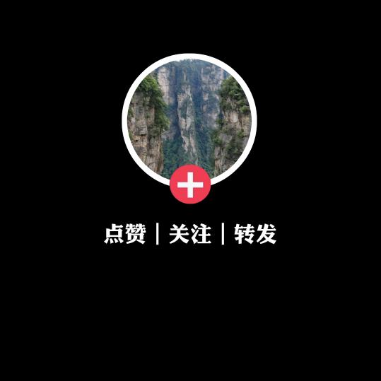 小枸杞优品分享