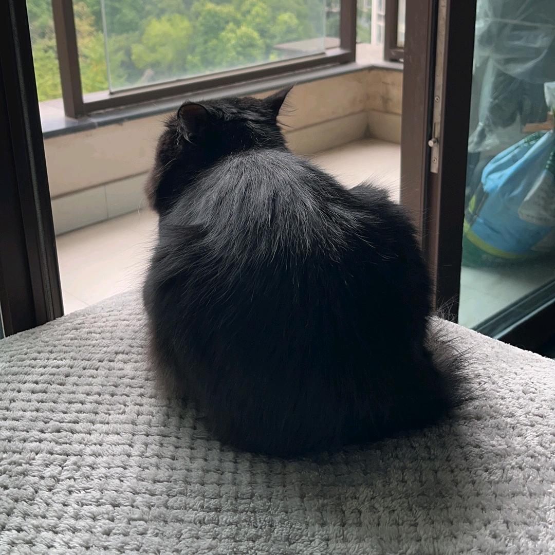 一杯美式