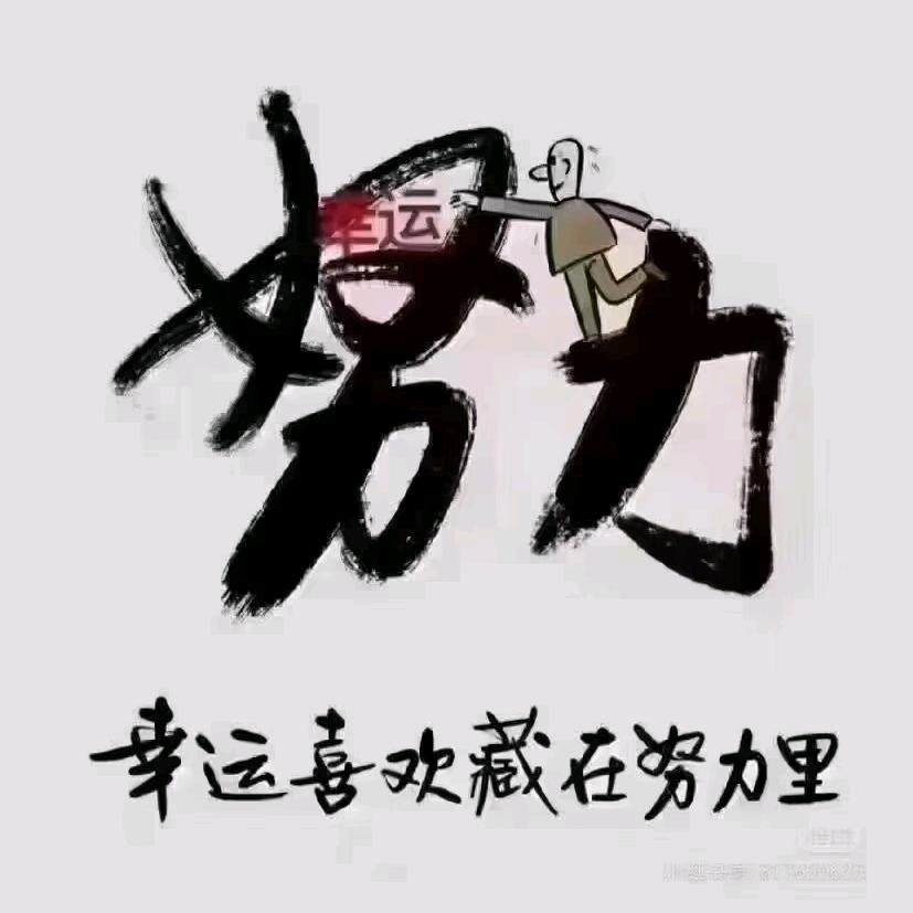 雪中赏梅
