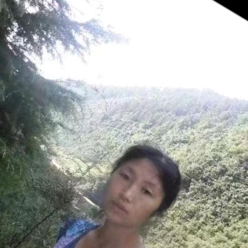 赵姐❤️