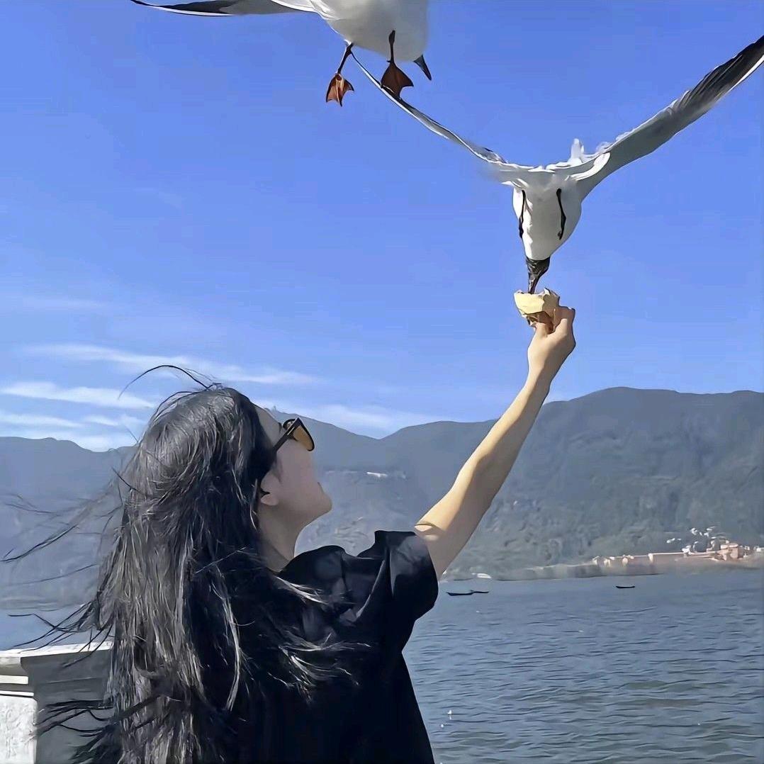 飞鱼聊Ai