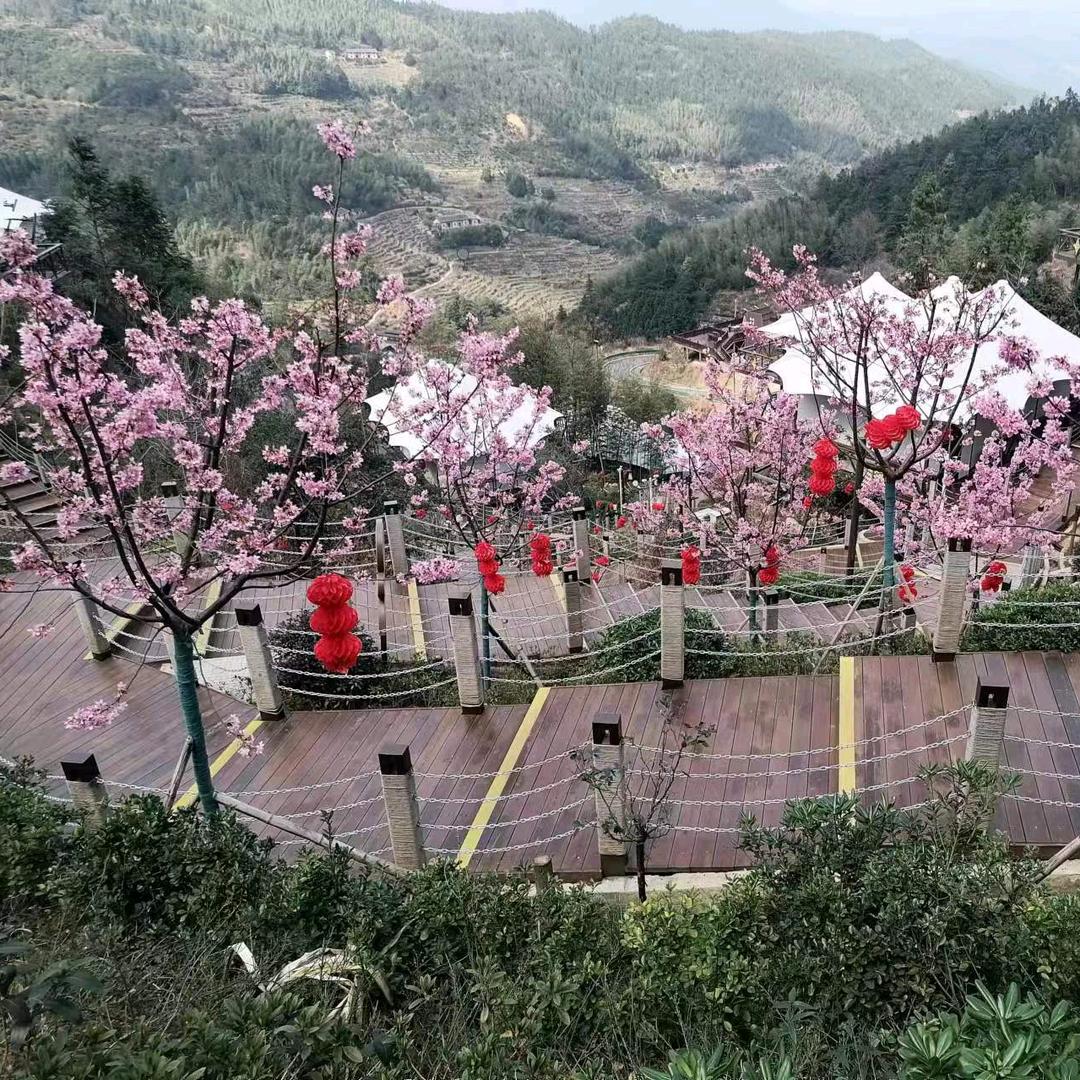 💖过好每一天💞