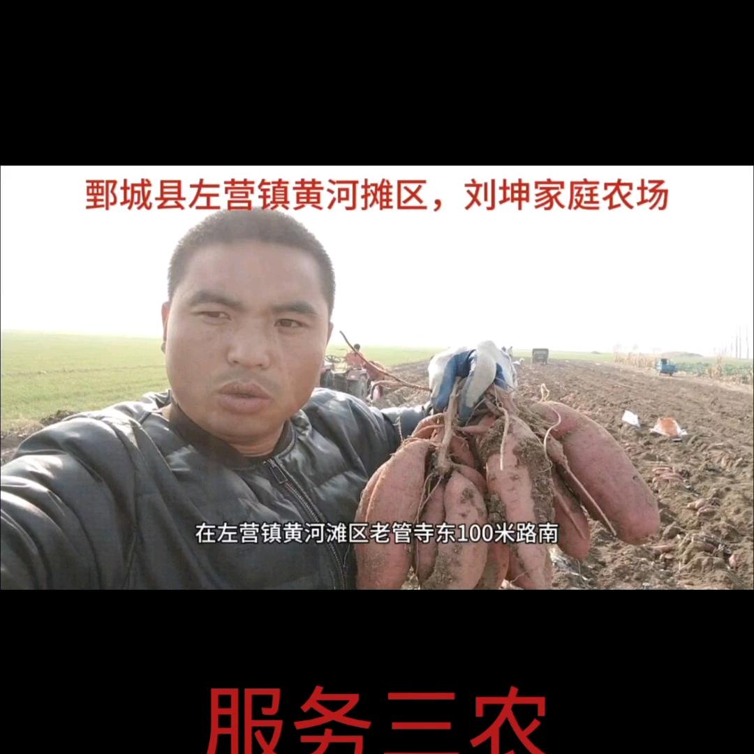 鄄城坤哥（三农）