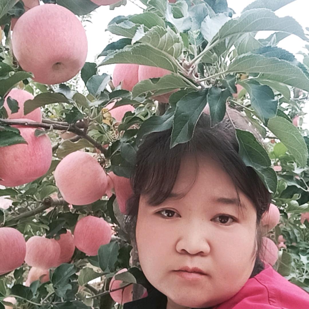 双玲