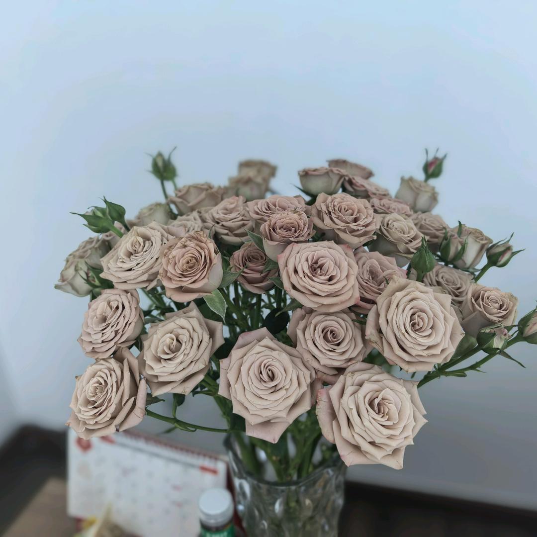Y头