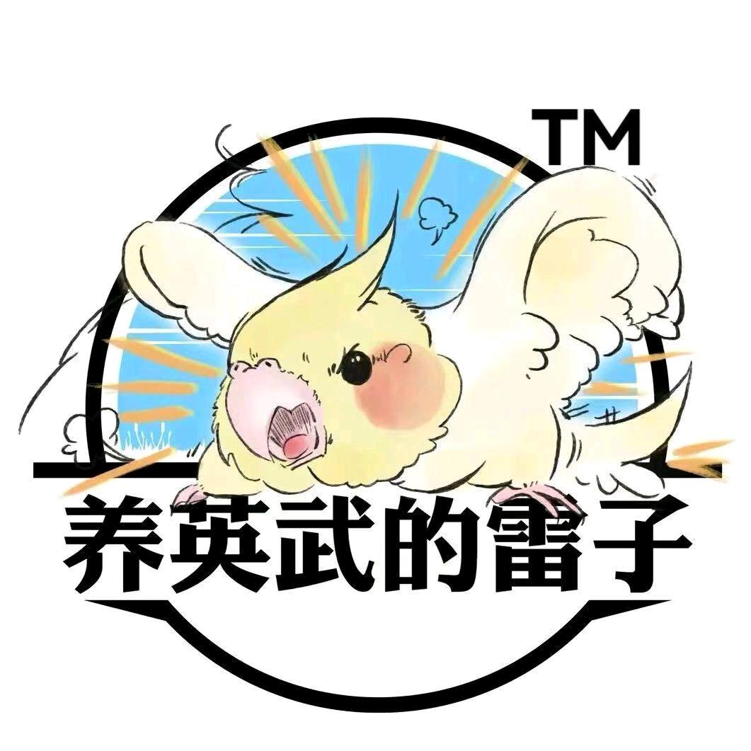 龙仔养英武的雷子宠物用品店