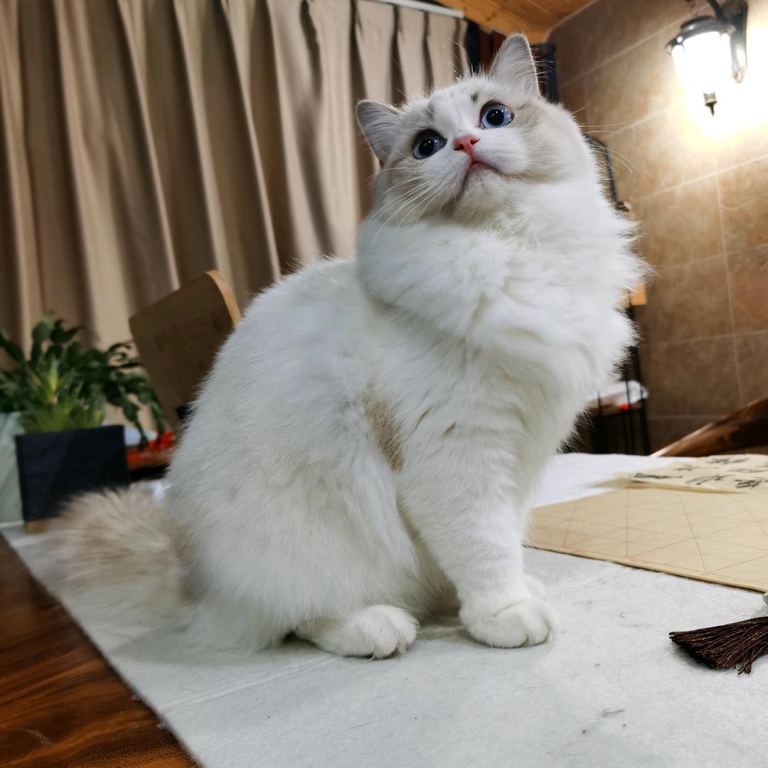 过期了