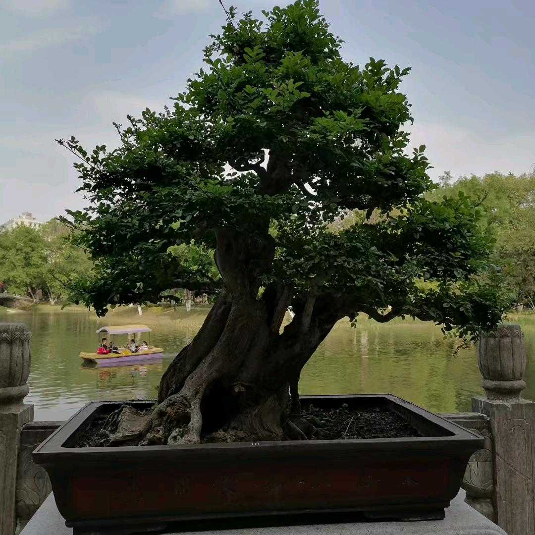 张伟