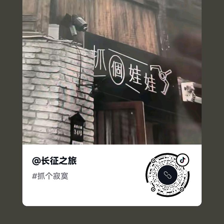 飞翔大雁
