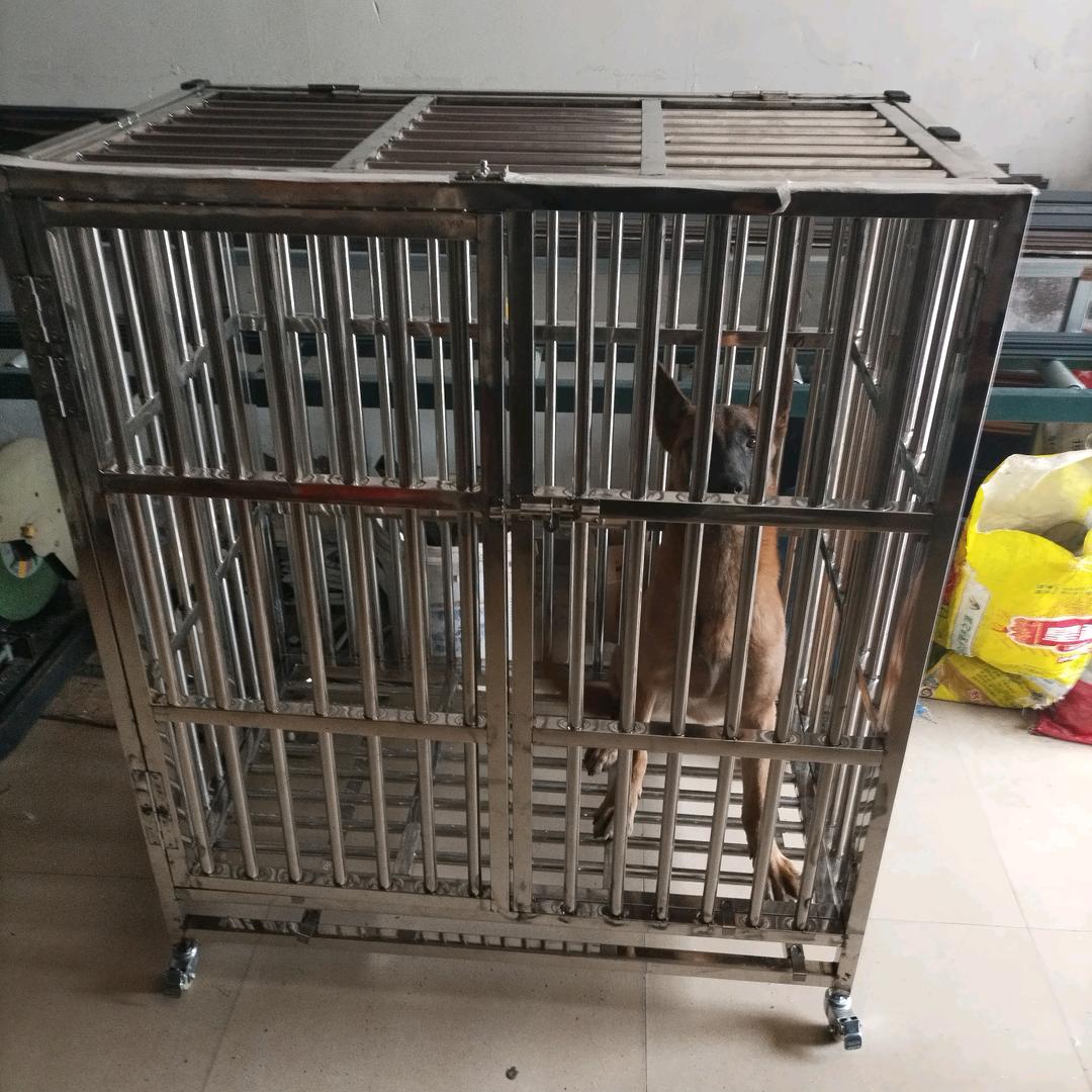 居乐精品不锈钢狗笼
