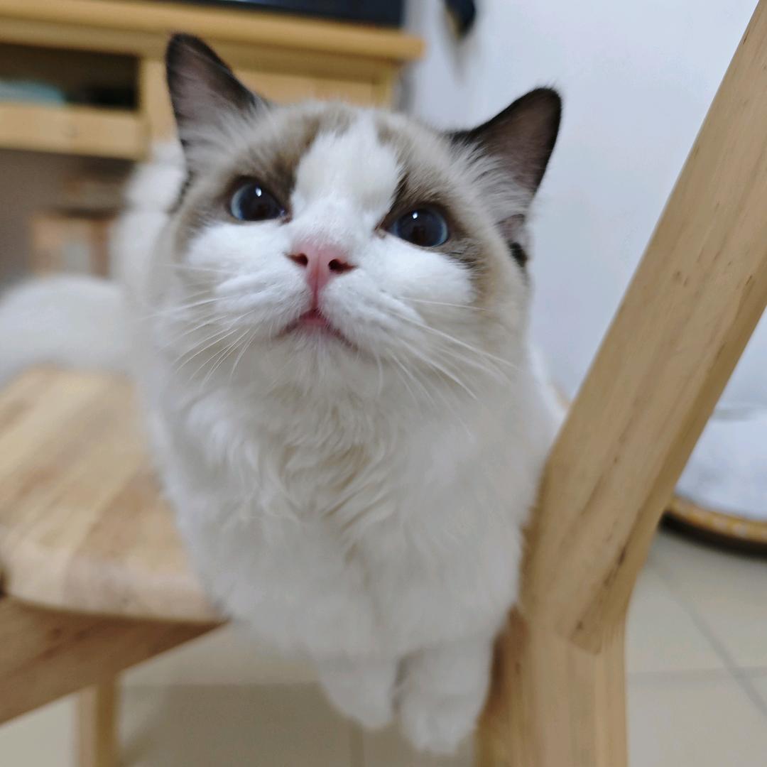 忛