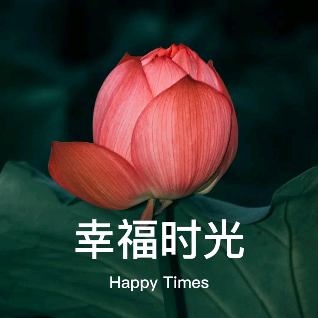 每天微笑头像