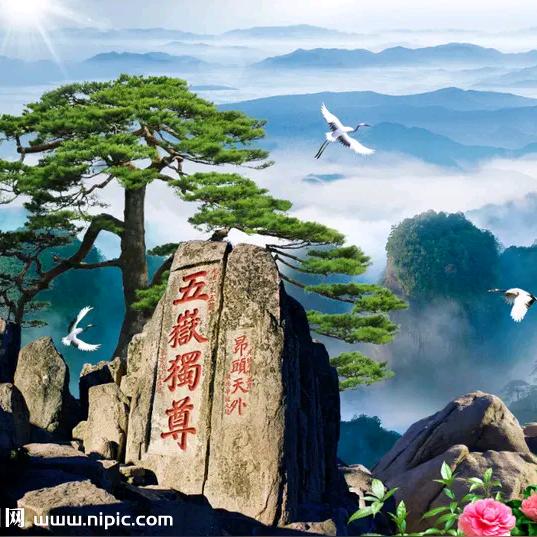 富盈天泽