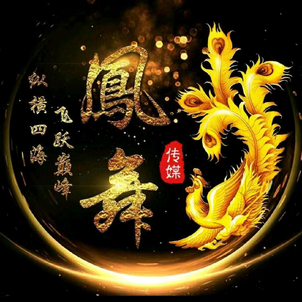 🇨🇳凤舞九天