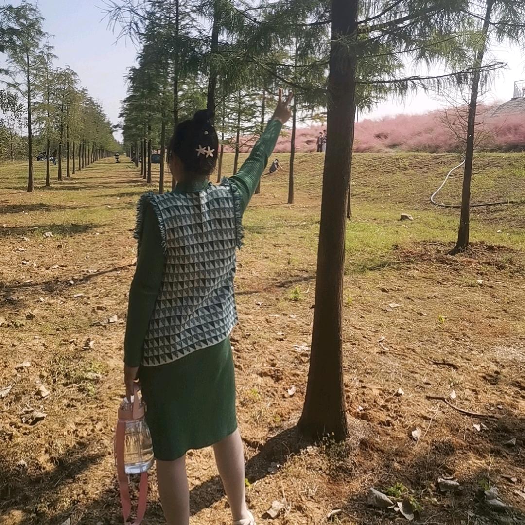 橙子姑娘的小店