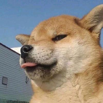 你好我有一个帽衫