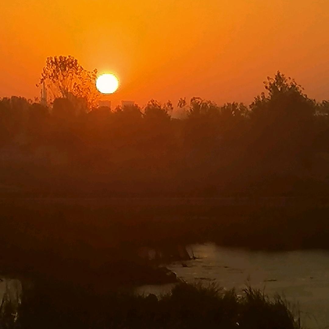 春风🌹🌹🌹🌹🌹