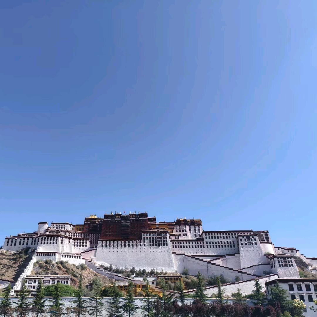 🈚缘