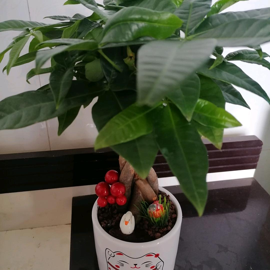 長生福