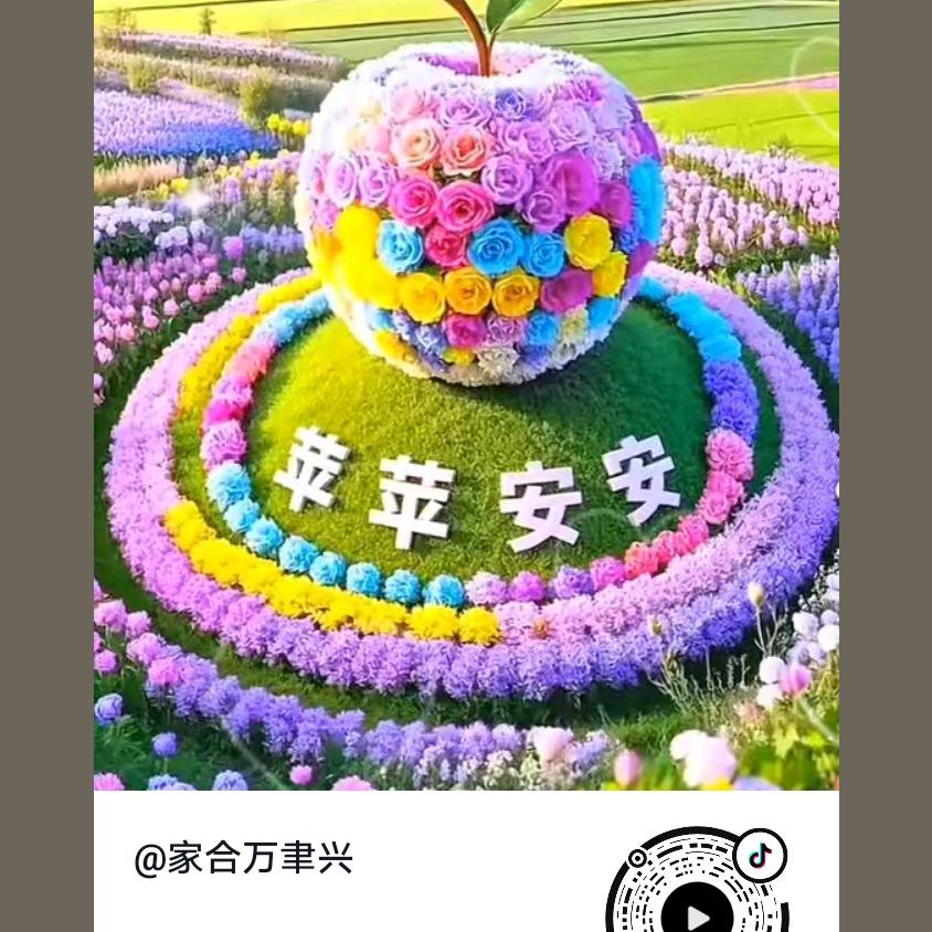 春天的阳光更快乐😁