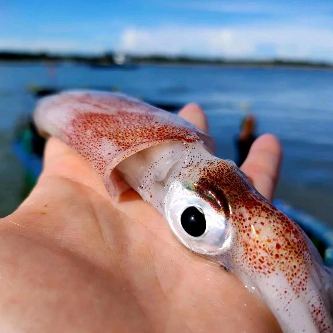 小麻海鲜