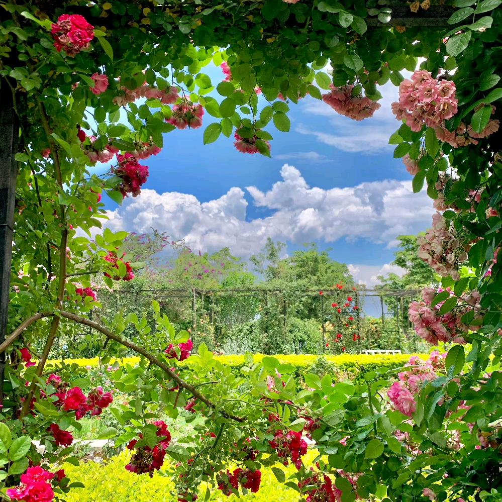小雨田😶‍🌫️