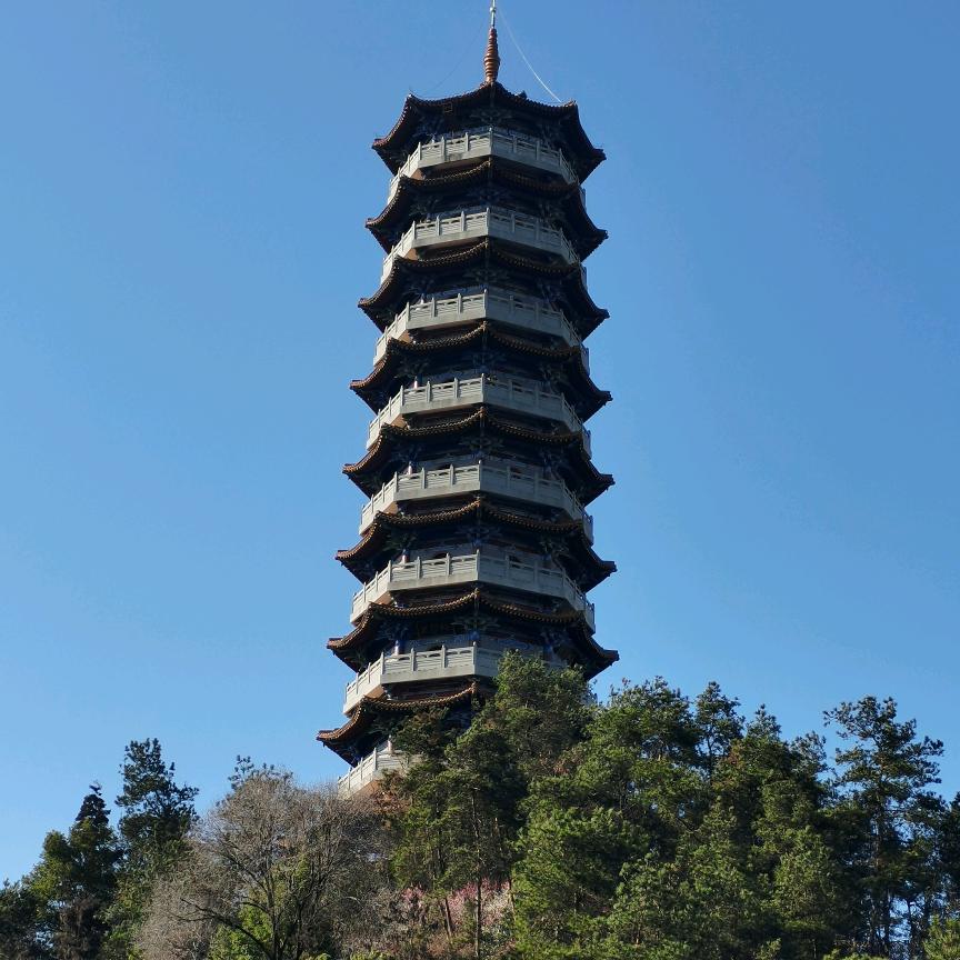 听涛观海