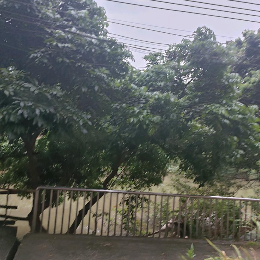 美姐
