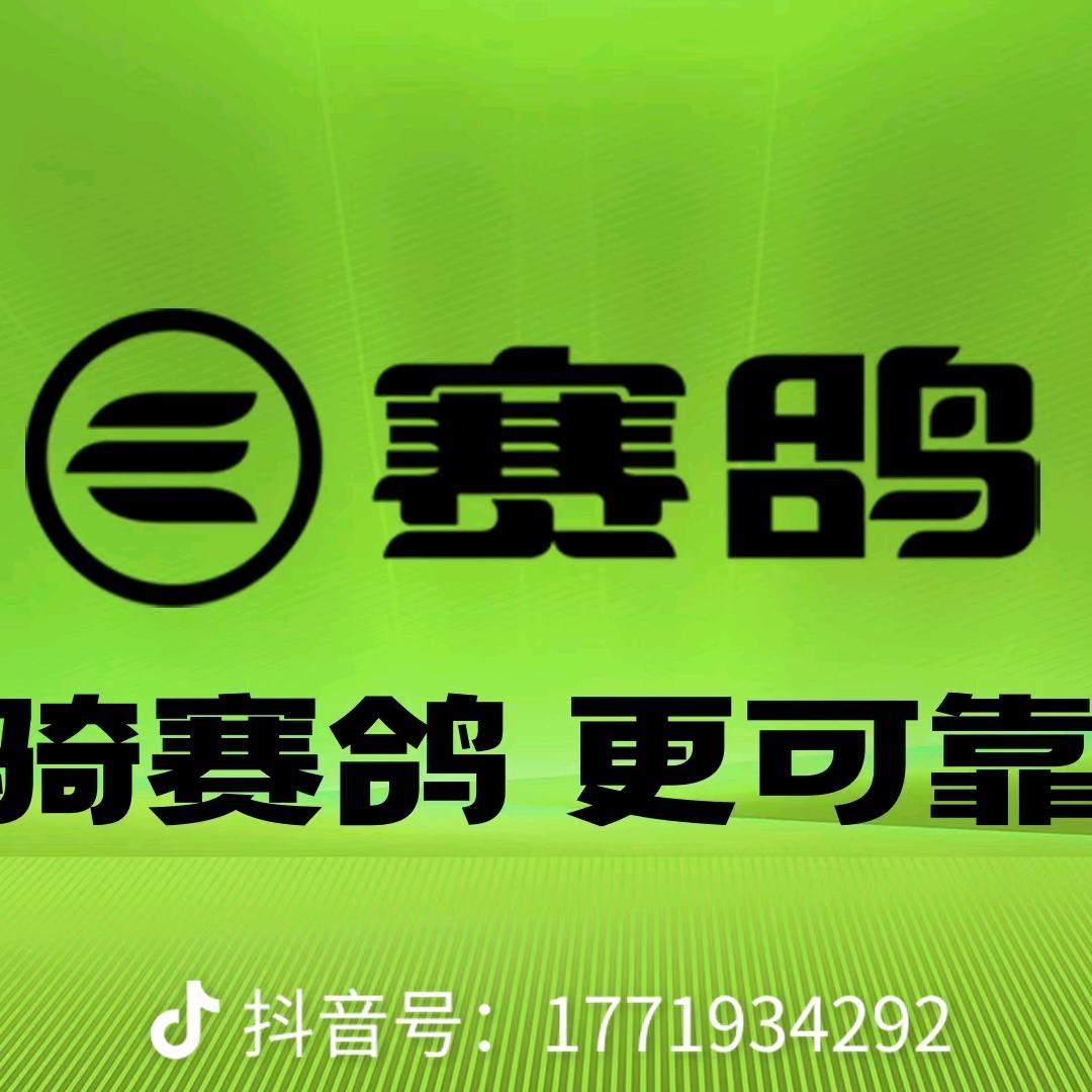 赛鸽休闲车电动车厂家（佘士岭）