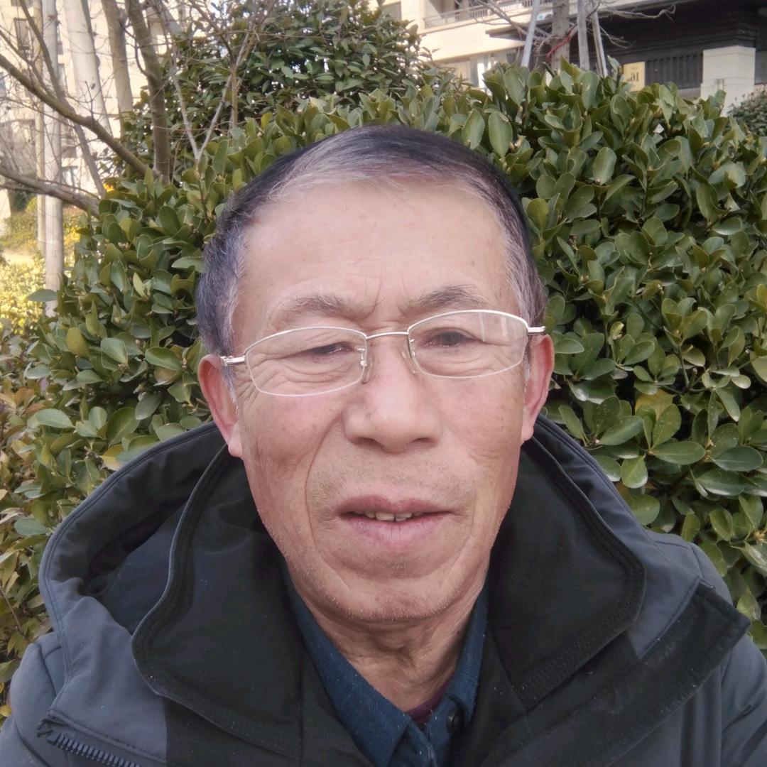 倔强的牛