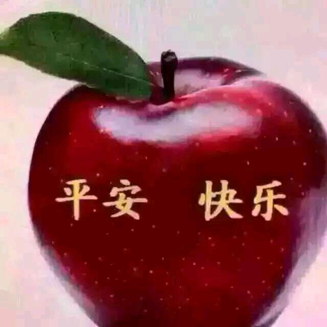 记忆人生
