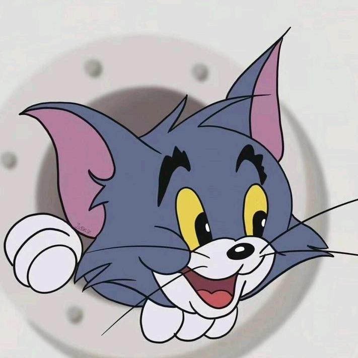 《 Tom 》
