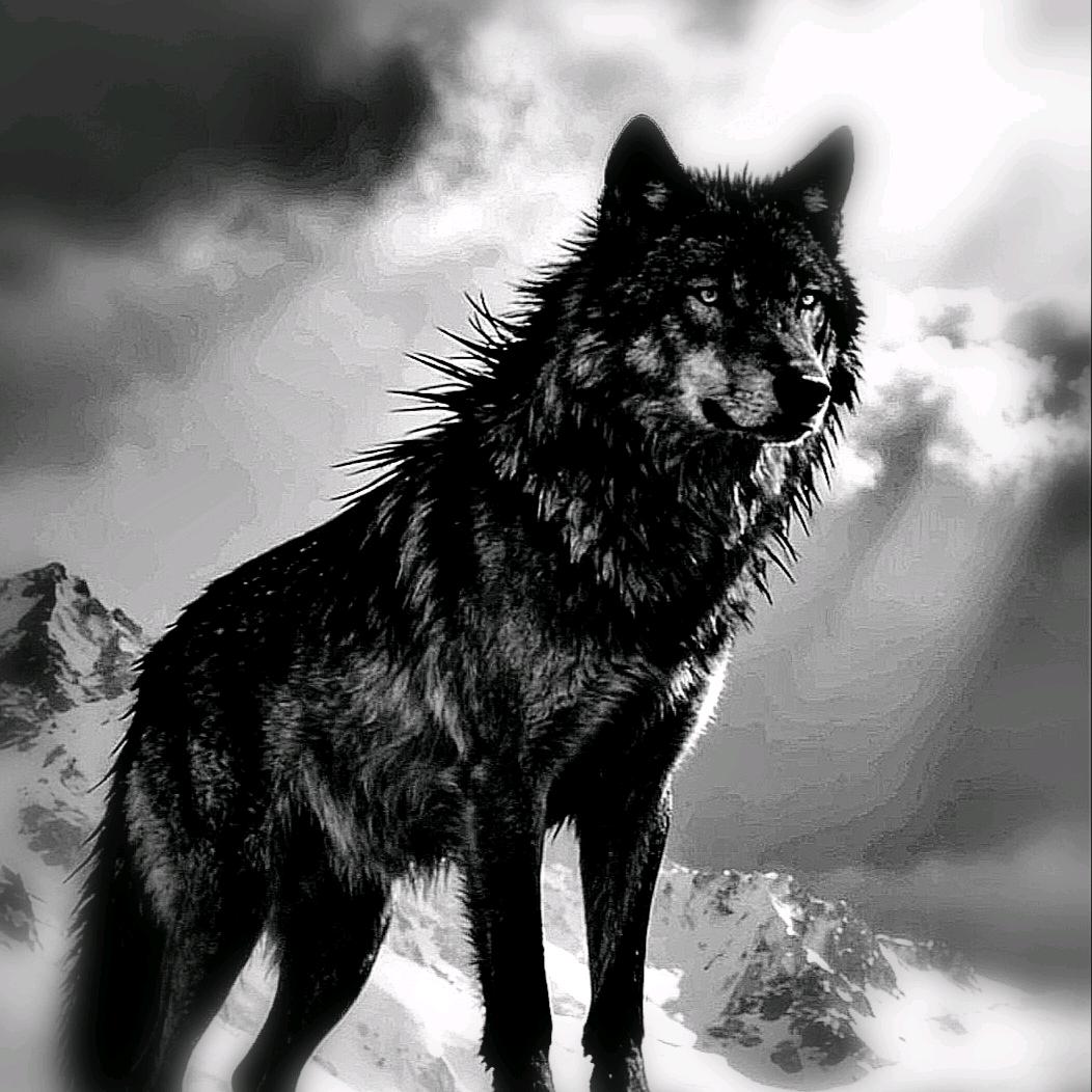 青潋榆汀·渡云槎