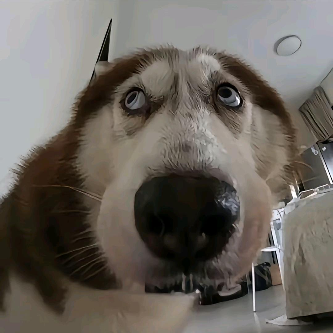 缘为冰.