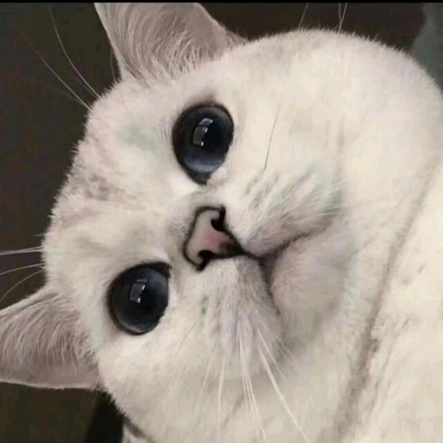 UU-🍃