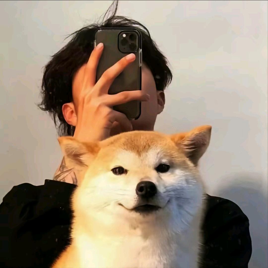 心想柿橙