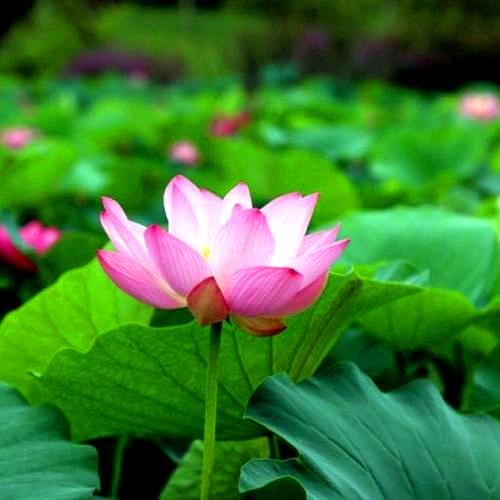 遇见你是我的缘分